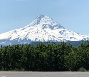 Gorgeous view of Mt. Hood on a clear day.